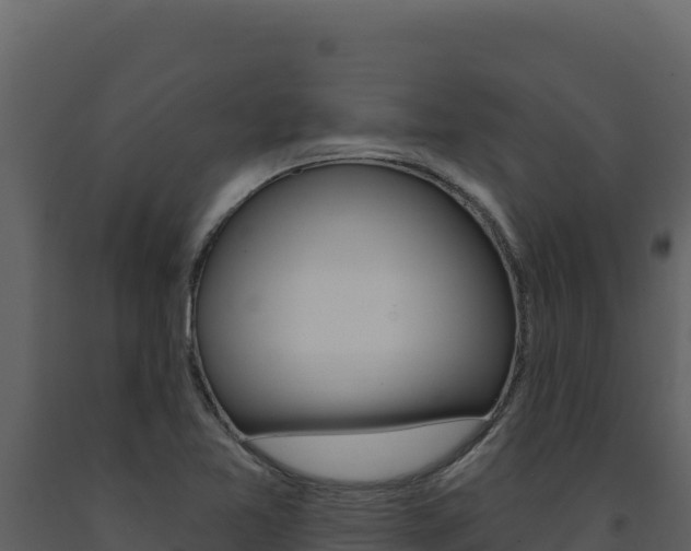 X0000091731365200708241034