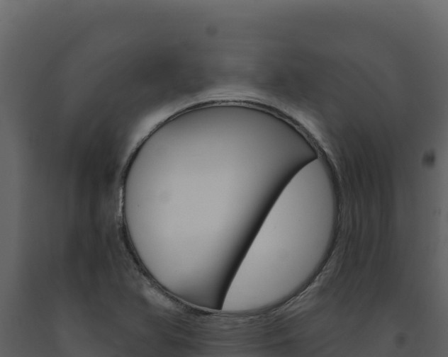 X0000091731366200708241034