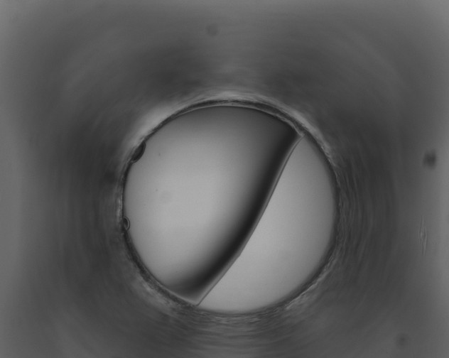 X0000091731367200708241034