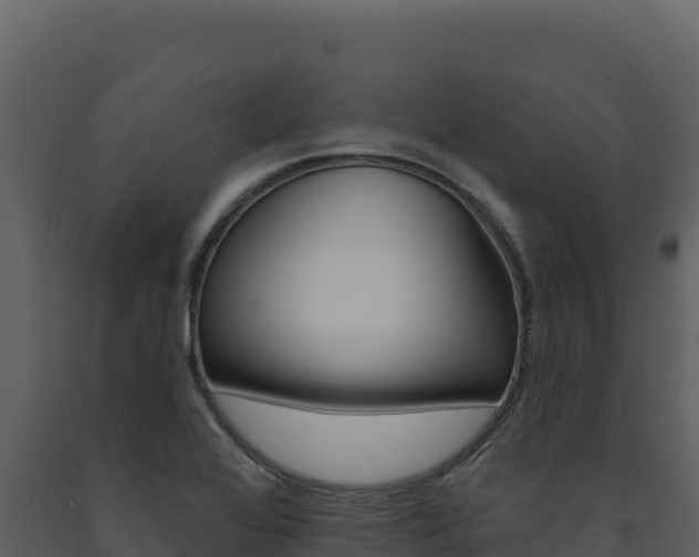 X0000091731368200708241034