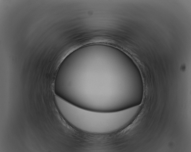 X0000091731369200708241034