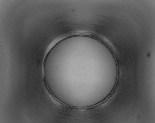 X0000091731370200708241034