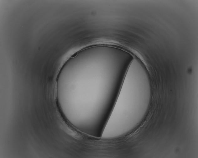 X0000091731371200708241034