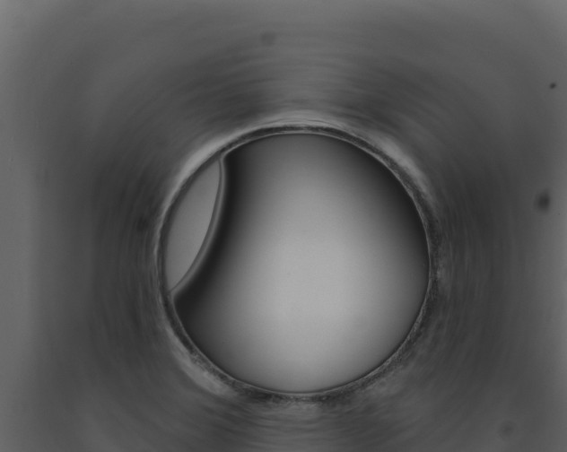 X0000091731372200708241034