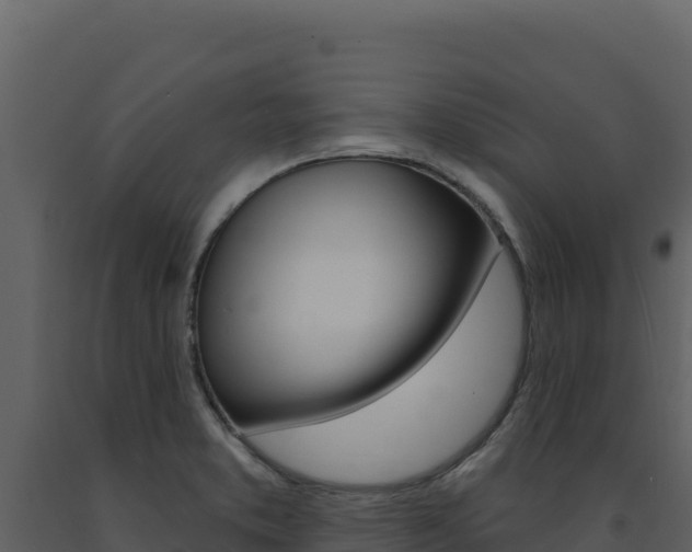 X0000091731373200708241034