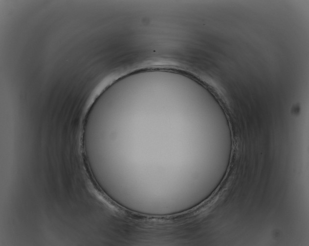 X0000091731374200708241034