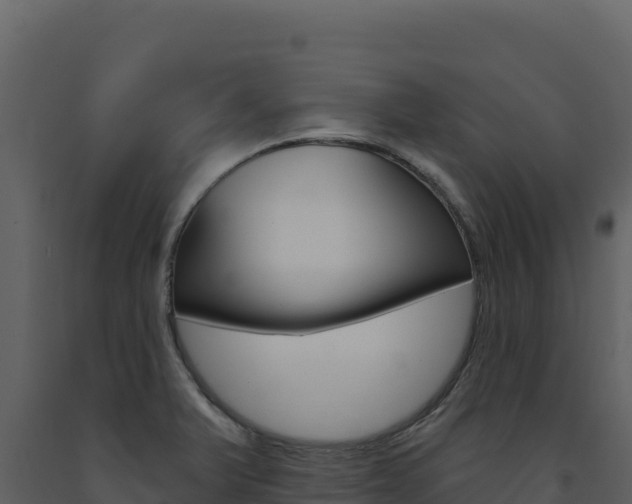 X0000091731375200708241034