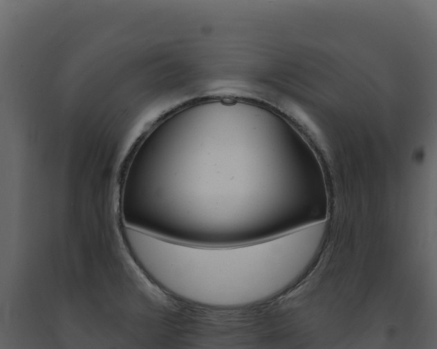 X0000091731376200708241034