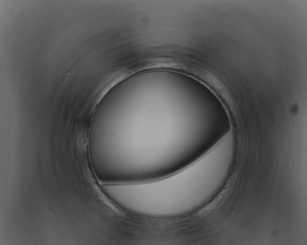 X0000091731377200708241034