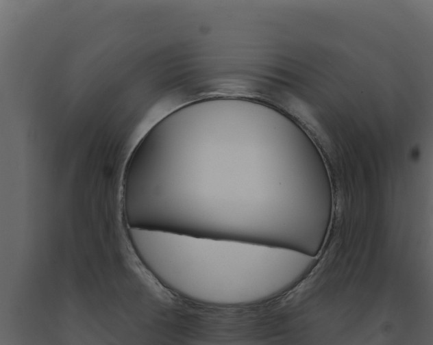 X0000091731378200708241033