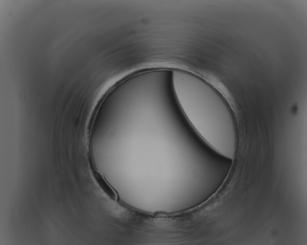 X0000091731380200708241033