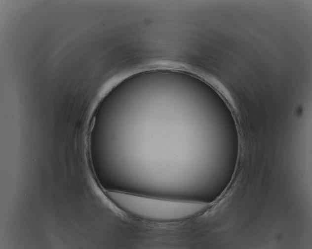 X0000091731381200708241033