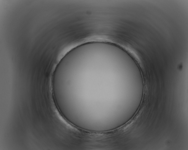 X0000091731382200708241033