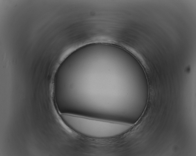 X0000091731383200708241033