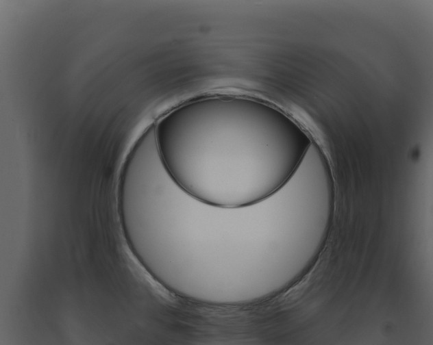 X0000091731384200708241033