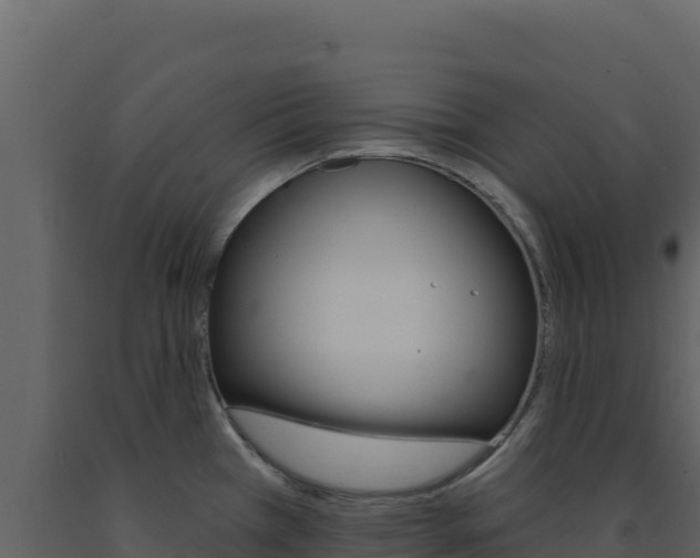 X0000091731385200708241033