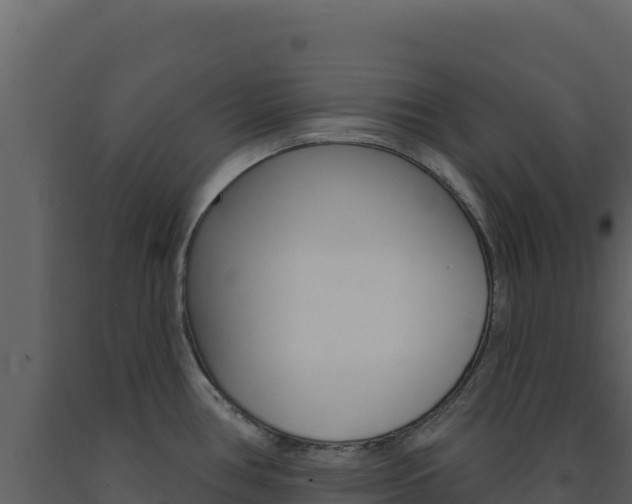X0000091731386200708241033
