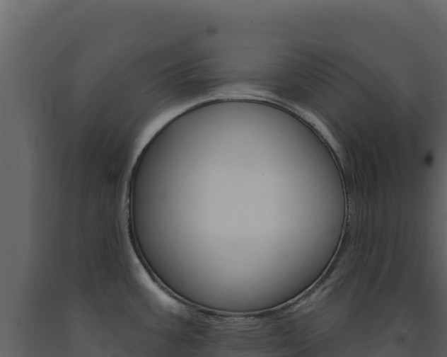 X0000091731387200708241033