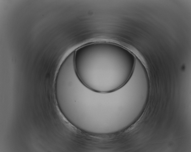 X0000091731388200708241033