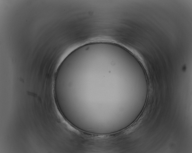 X0000091731390200708241033
