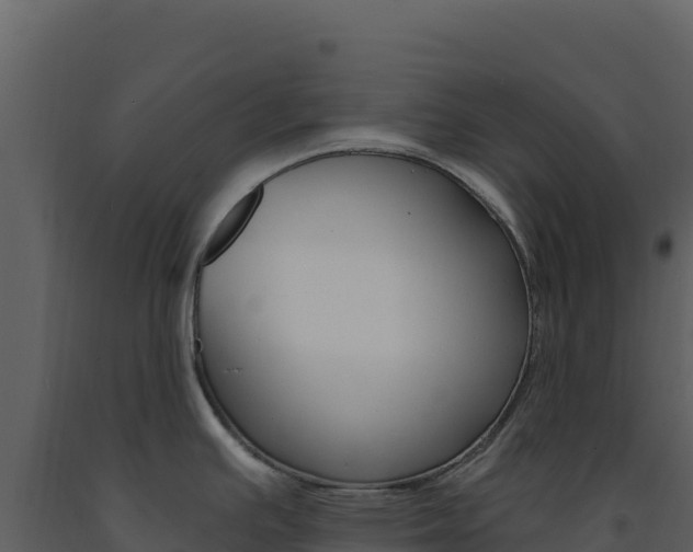 X0000091731391200708241033