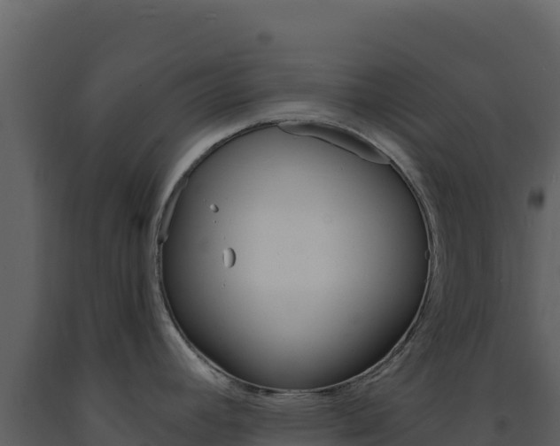 X0000091731392200708241033