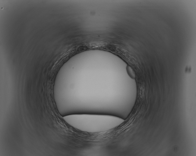 X0000091731393200708241032