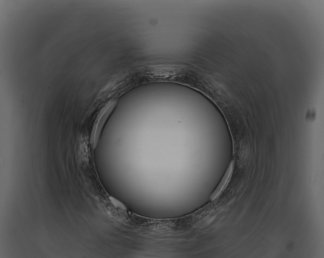 X0000091731394200708241032