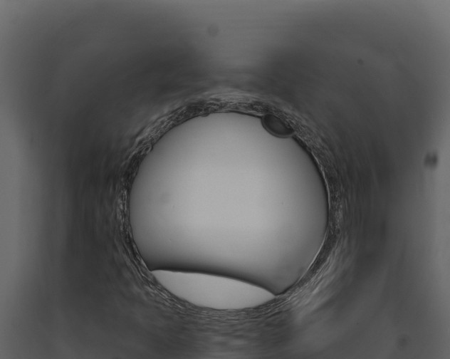 X0000091731397200708241033