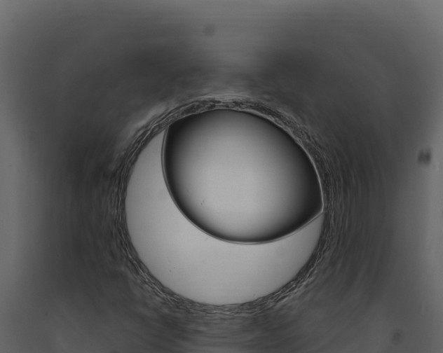X0000091731398200708241033