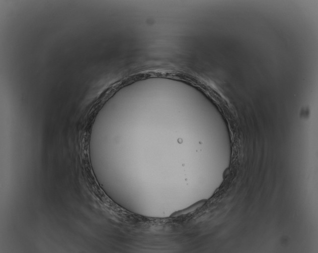 X0000091731399200708241033