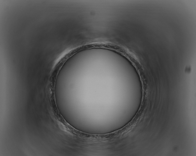 X0000091731400200708241033