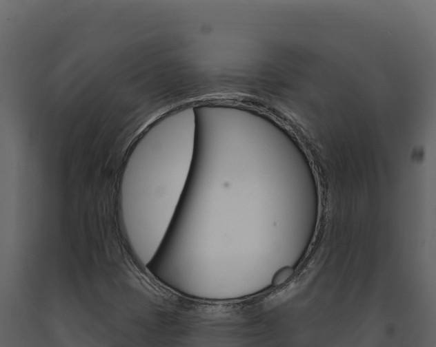X0000091731401200708241033