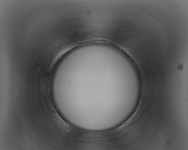 X0000091731402200708241033
