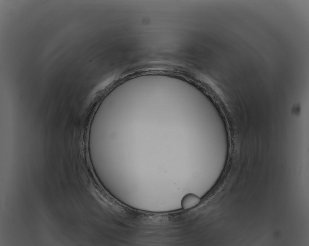 X0000091731403200708241033