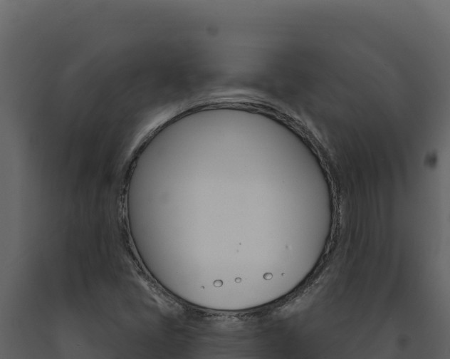 X0000091731405200708241033