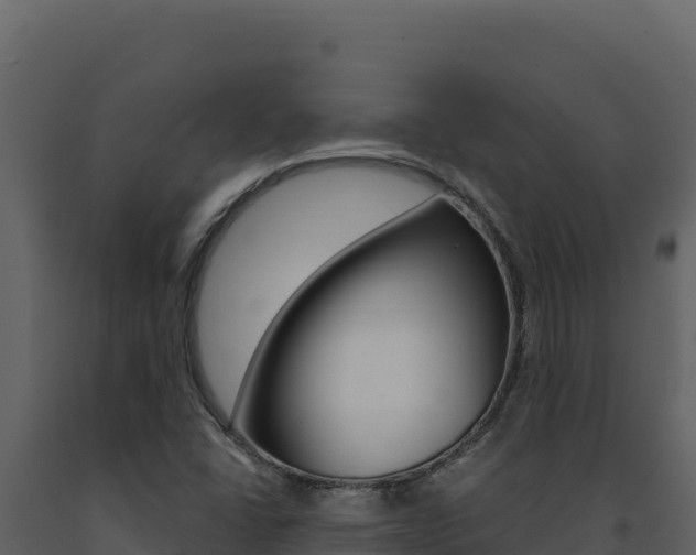 X0000091731406200708241033