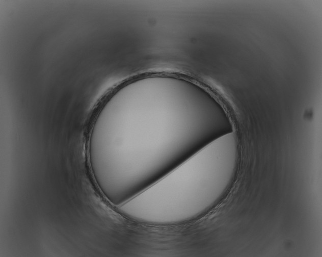 X0000091731408200708241033