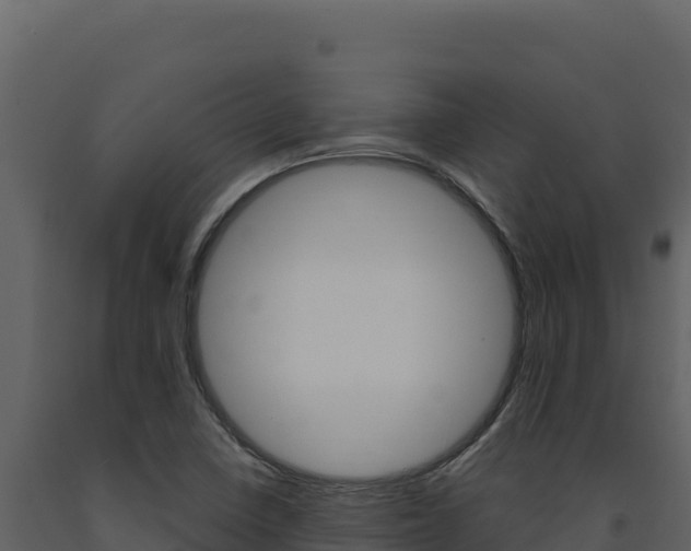 X0000091731410200708241033
