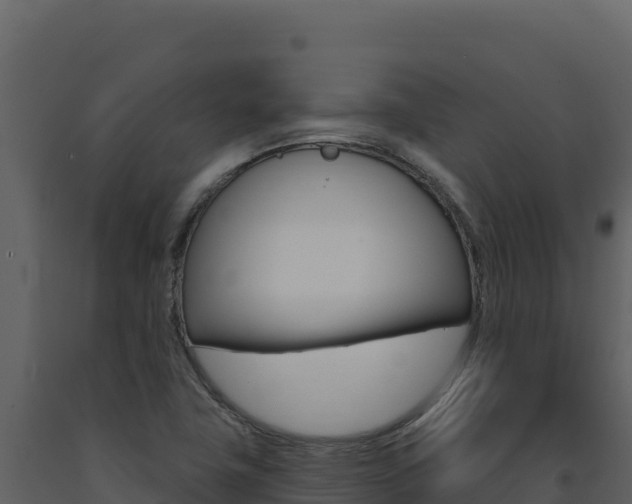 X0000091731411200708241033