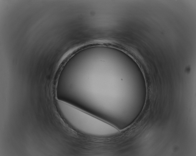 X0000091731412200708241033