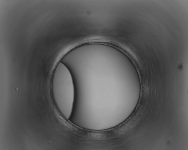 X0000091731413200708241033