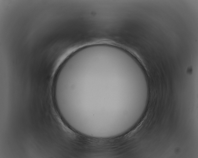 X0000091731414200708241033