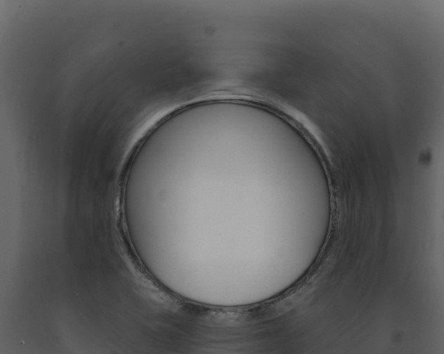 X0000091731415200708241033