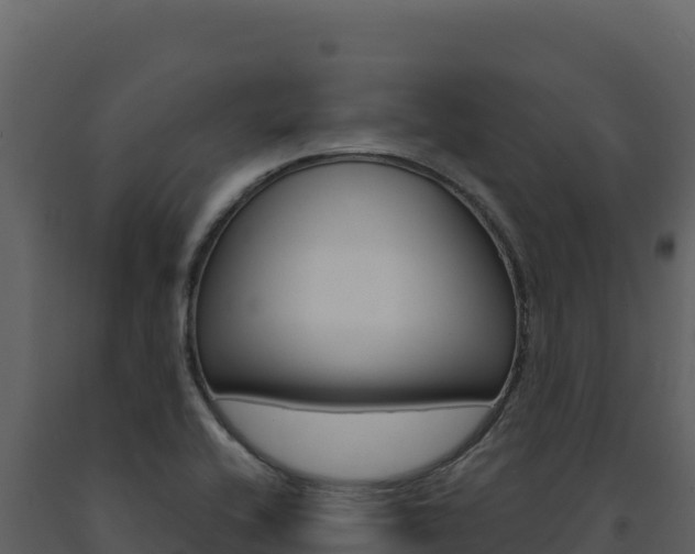 X0000091731416200708241033