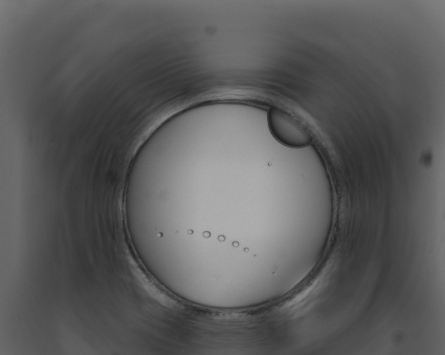 X0000091731417200708241033