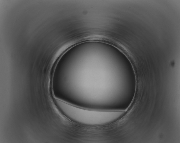 X0000091731418200708241033