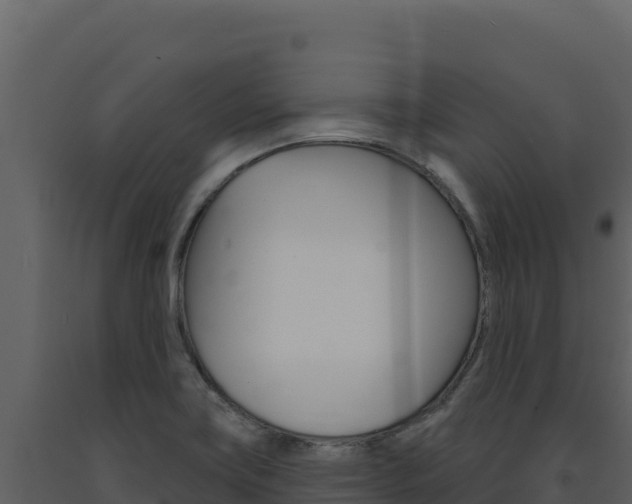 X0000091731419200708241033