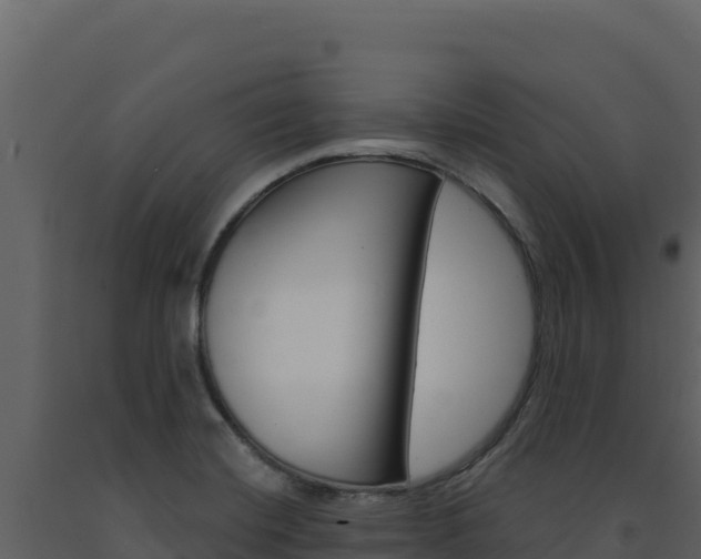 X0000091731420200708241033