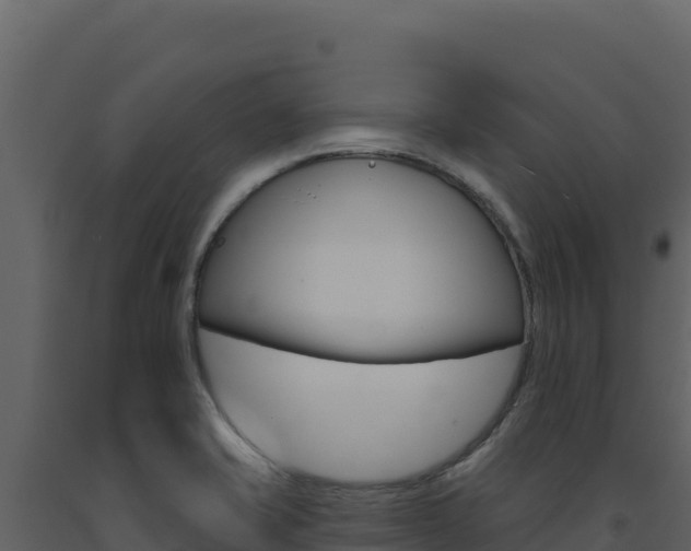 X0000091731421200708241033